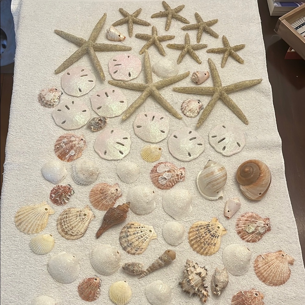 Coastal Seashell and Starfish Decorative Accent Set - Natural Tones